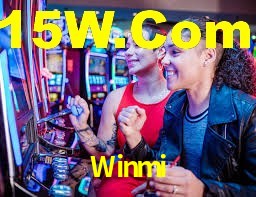 Experimente o Login Seguro Premium no Winmi