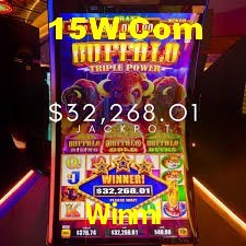 Crash Games Statistics Winmi