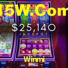 Premium Interface Winmi